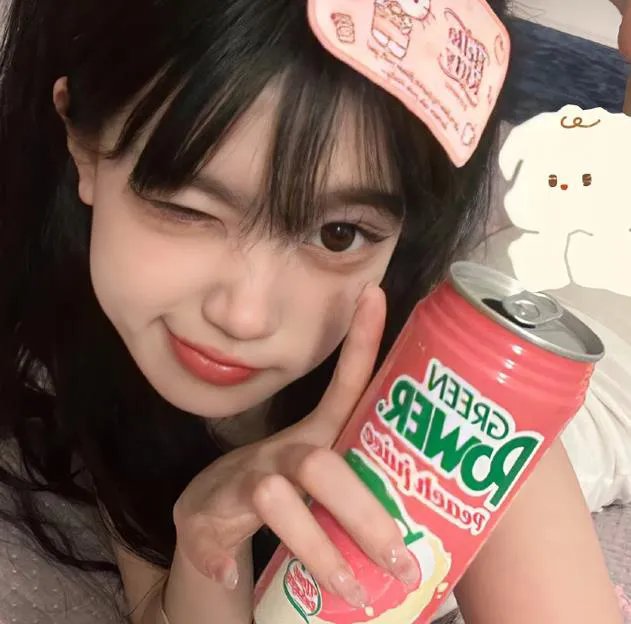 菊石